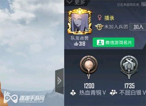 和平精英辅助【年兽一体直装】全图人物透视 掩体漏打变色 漏打锁死自瞄 无限距离自瞄 漏打弹道追踪 人物物资显示